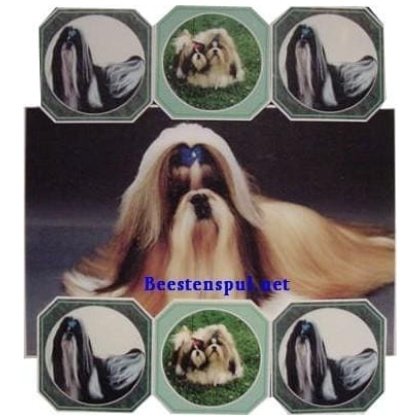 Onderzetter Set - Shih Tzu - Set 01