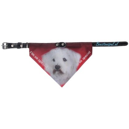 Halsband Zakdoek - Maltezer