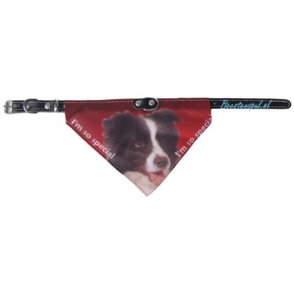 Halsband Zakdoek - Border Collie
