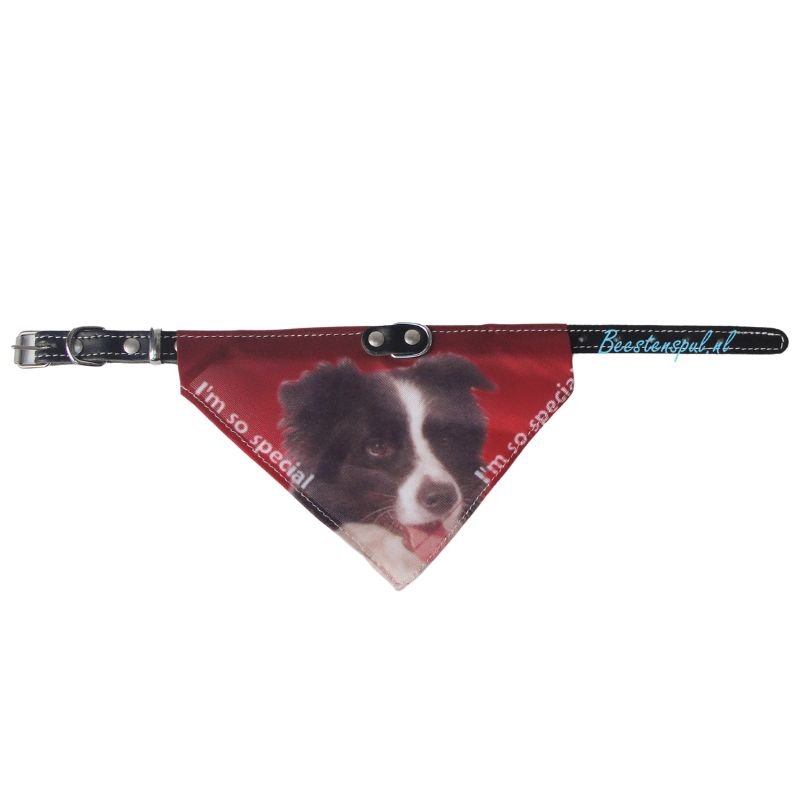 Halsband Zakdoek - Border Collie 1 Halsband Zakdoek - Border Collie