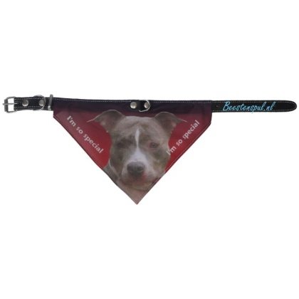 Halsband Zakdoek - Stafford (American)