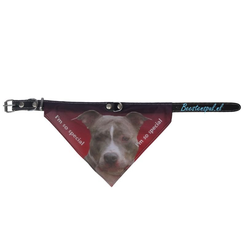 Halsband Zakdoek - Stafford (American) 1 Halsband Zakdoek - Stafford (American)