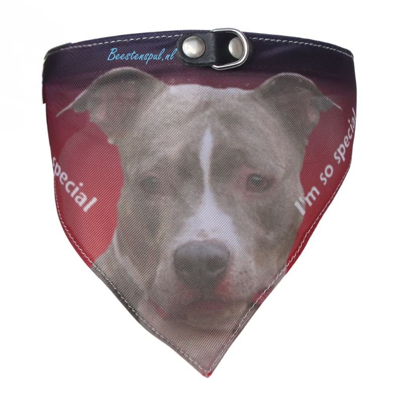 Halsband Zakdoek - Stafford (American) 2 Halsband Zakdoek - Stafford (American) - Afbeelding 2