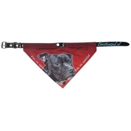 Halsband Zakdoek - Stafford (Engelse)