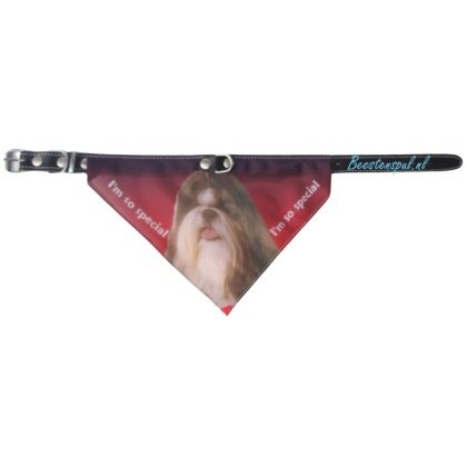 Halsband Zakdoek - Shih Tzu