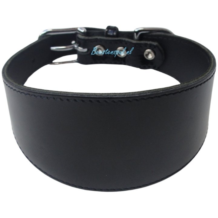 Halsband Windhond - Lak