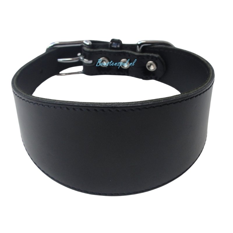 Halsband Windhond - Lak 1 Halsband Windhond - Lak