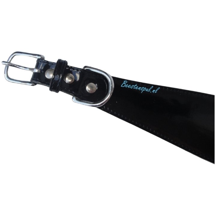 Halsband Windhond - Lak - Afbeelding 3