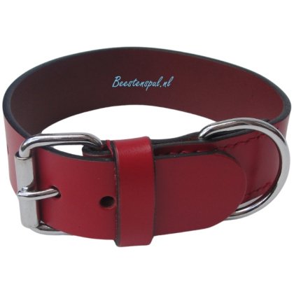 Halsband - Plane -Rood