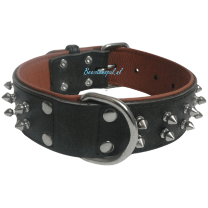 Halsband - Tolentino