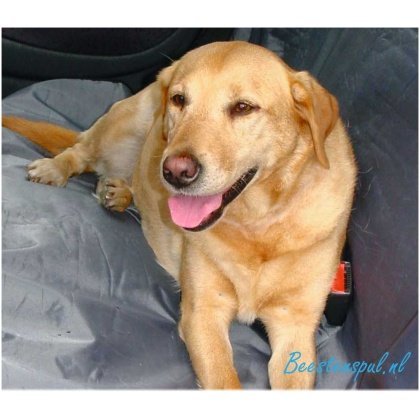 Beeztees - Beschermdeken - Auto