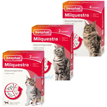 Beaphar - Milquestra - Ontworming- Kat