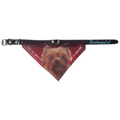 Halsband Zakdoekje - Yorkshire Terrier
