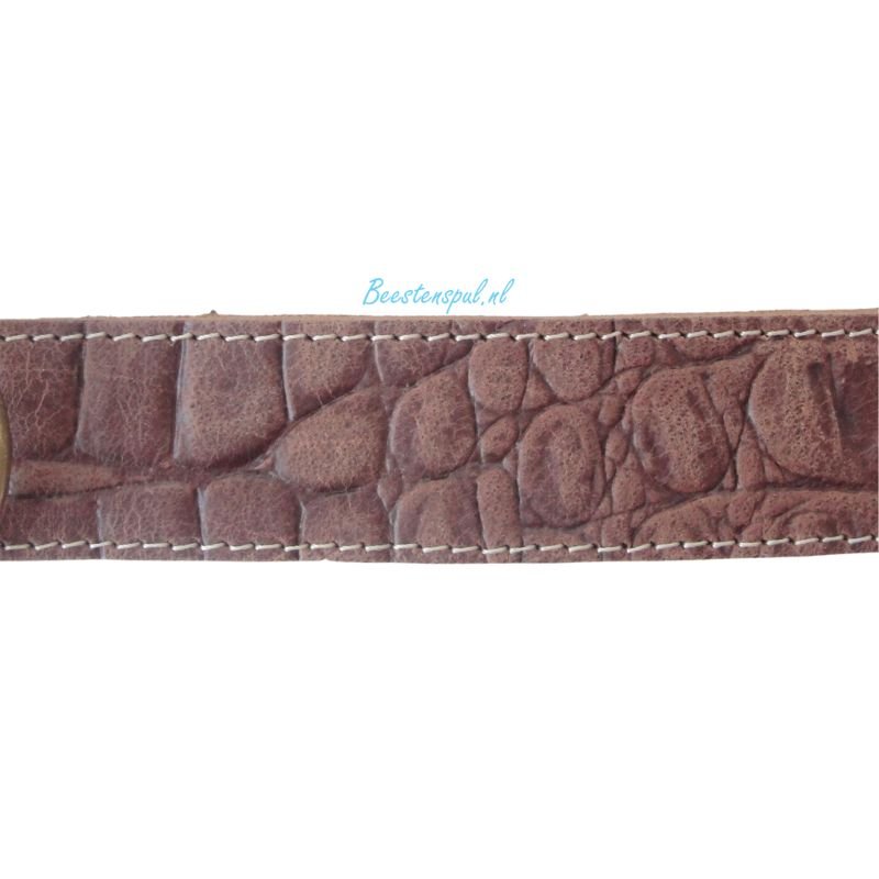 Halsband - Mexico (D-ring in Midden) 2 Halsband - Mexico (D-ring in Midden) - Afbeelding 2