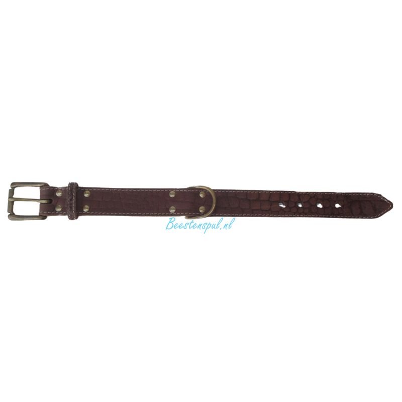Halsband - Mexico (D-ring in Midden) 3 Halsband - Mexico (D-ring in Midden) - Afbeelding 3