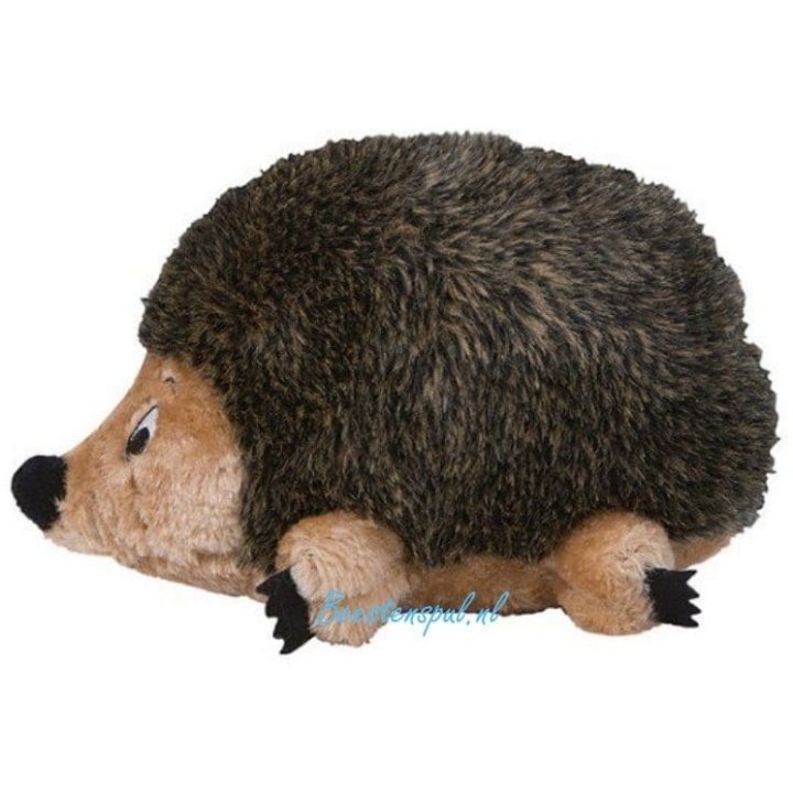 Outward Hound - Hedgehogz