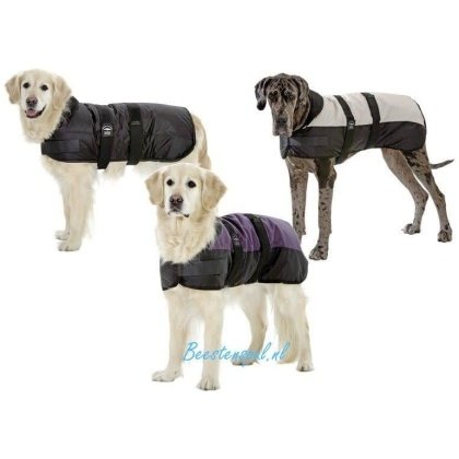 Hondenjas - Polar Bear