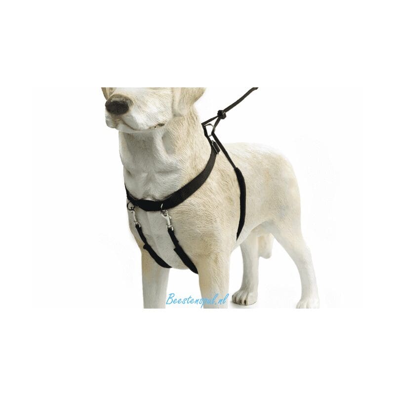 Beeztees - Nylon Gentle Walker 2 Beeztees - Nylon Gentle Walker - Afbeelding 2