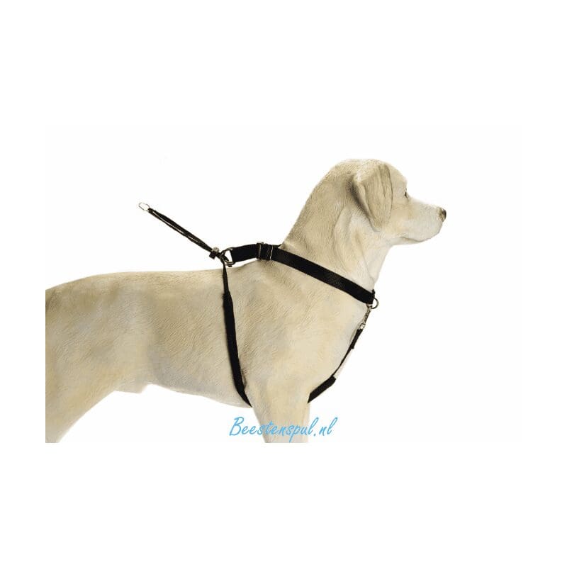 Beeztees - Nylon Gentle Walker 3 Beeztees - Nylon Gentle Walker - Afbeelding 3
