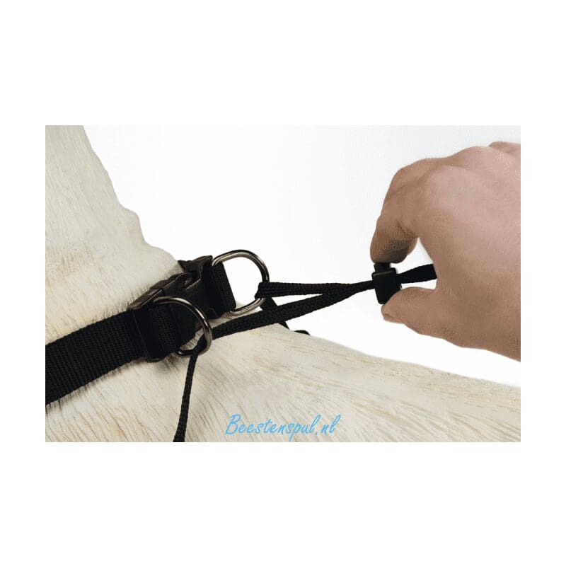 Beeztees - Nylon Gentle Walker 4 Beeztees - Nylon Gentle Walker - Afbeelding 4