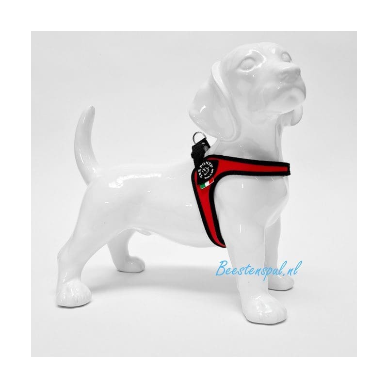 Tre Ponti - Fibbia - Standaard 3 Tre Ponti - Fibbia - Standaard - Afbeelding 3