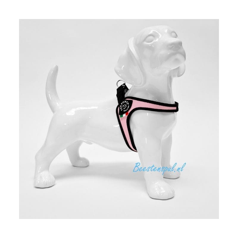 Tre Ponti - Fibbia - Standaard 4 Tre Ponti - Fibbia - Standaard - Afbeelding 4