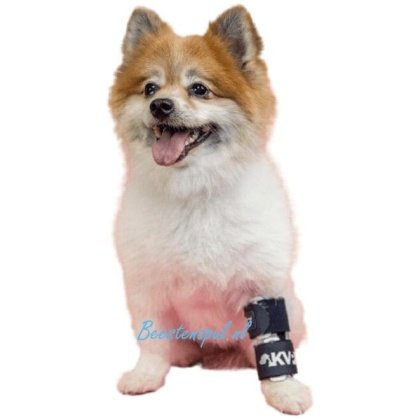 Balto - Brace Voorpoot (Bone)
