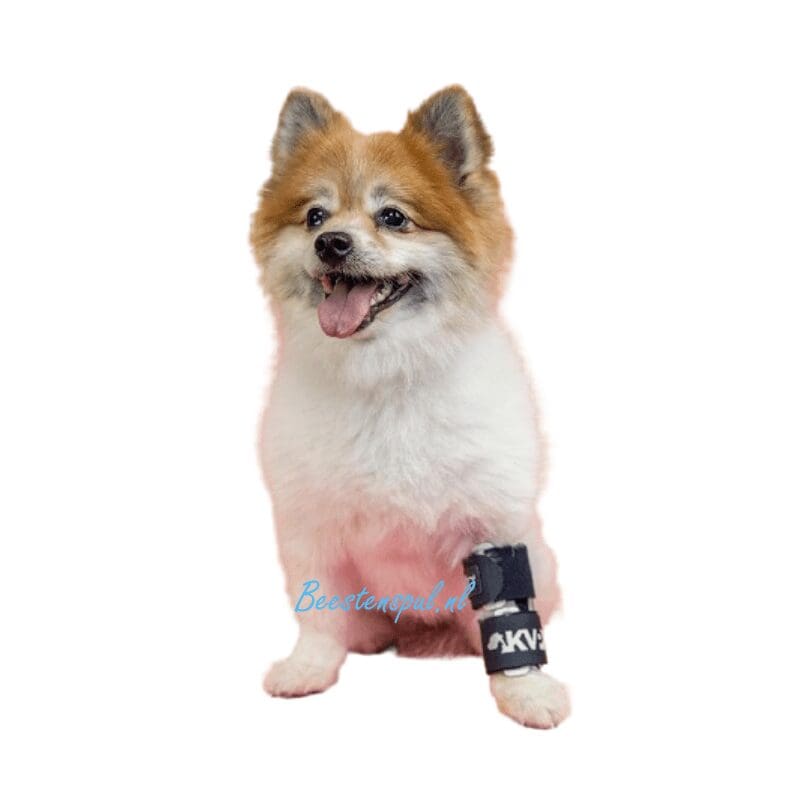 Balto - Brace Voorpoot (Bone) 1 Balto - Brace Voorpoot (Bone)