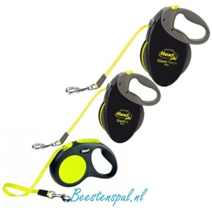 Flexi - Neon