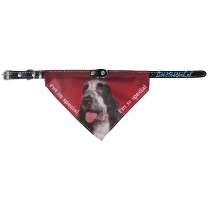Halsband Zakdoek - Cocker Spaniel (Engelse)