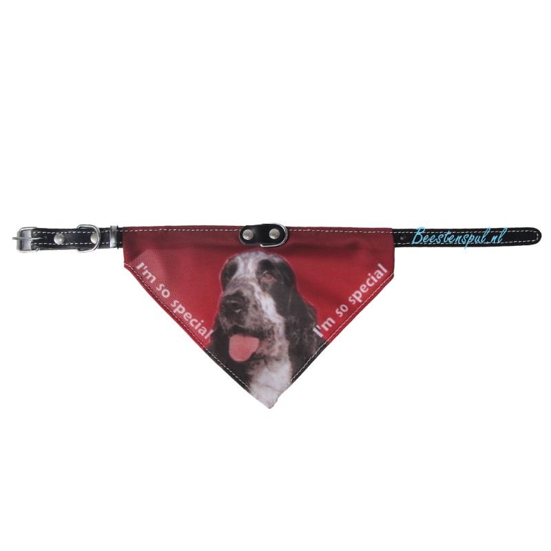 Halsband Zakdoek - Cocker Spaniel (Engelse) 1 Halsband Zakdoek - Cocker Spaniel (Engelse)