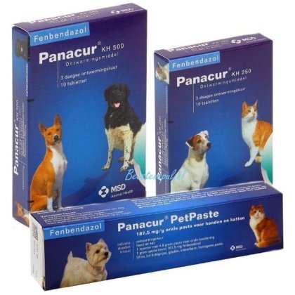 Panacur