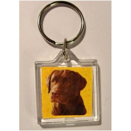 Labrador chocolate sleutelhanger