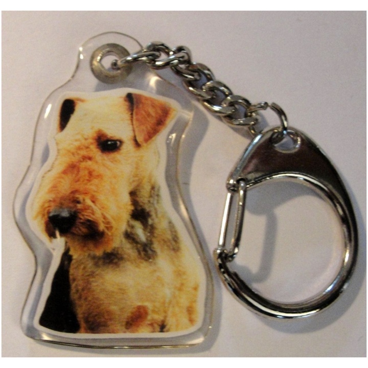 Welsh Terrier sleutelhanger gummie