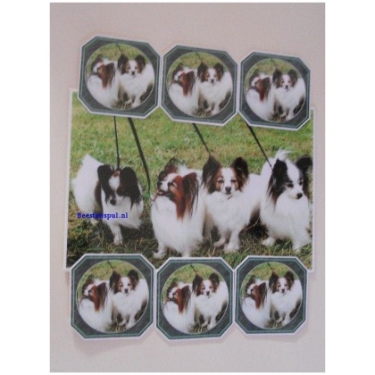 Papillon onderzetter set