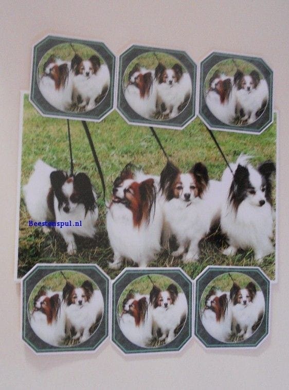 Onderzetter Set - Papillon 1 Papillon onderzetter set