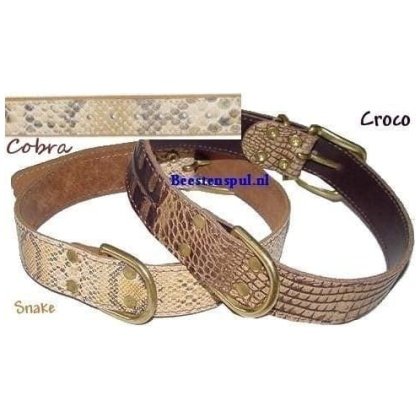 Halsband Sidney messing (D-ring bij gesp)