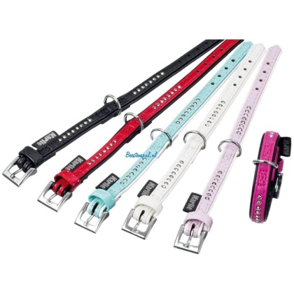 Halsband Monte Carlo