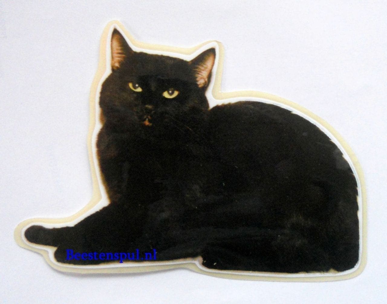 camera titel trog Katten zwart sticker 01
