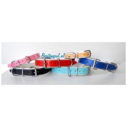 Halsband Lexington