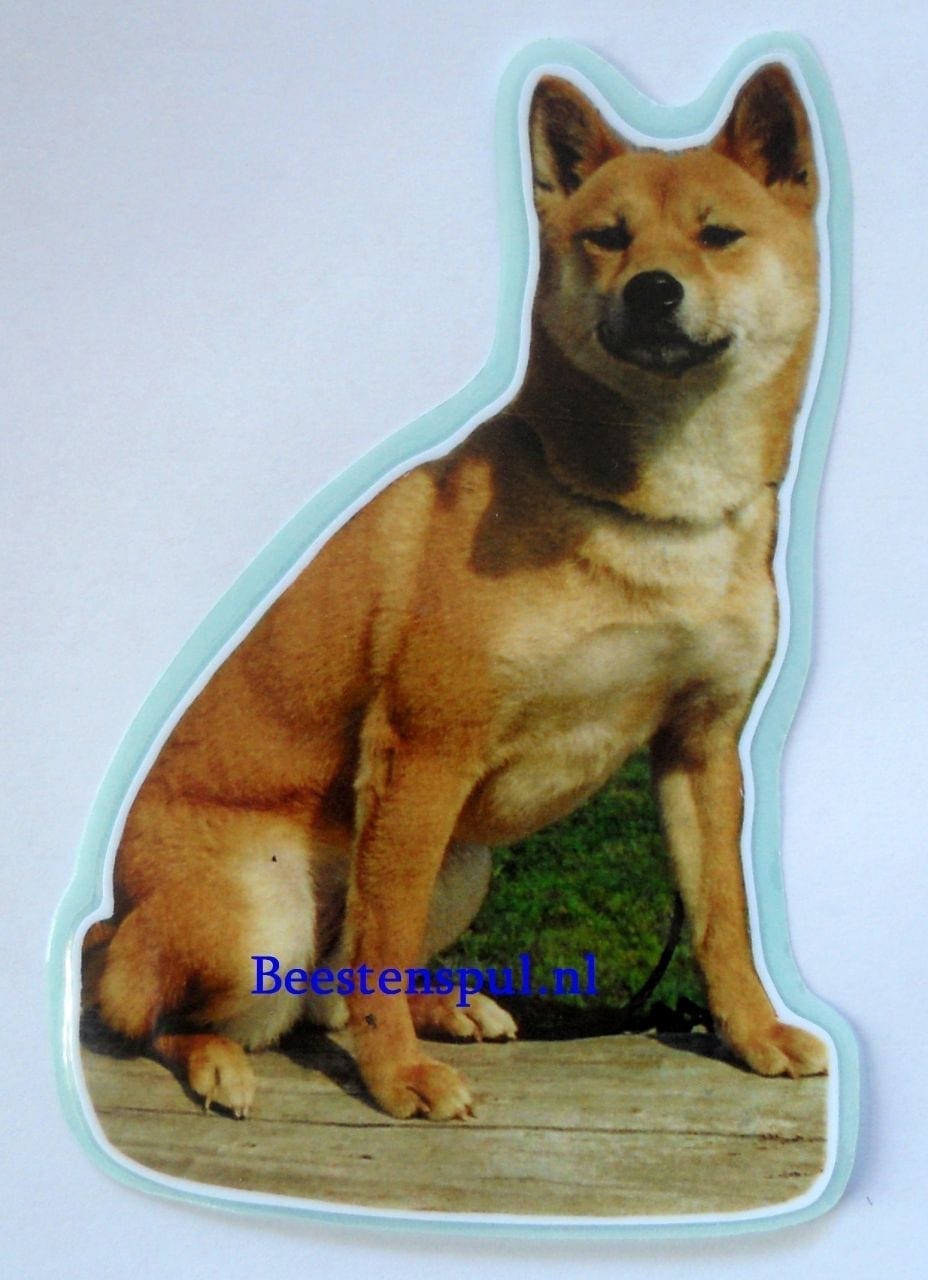 Shiba Inu sticker 04