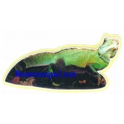 Leguaan sticker 01