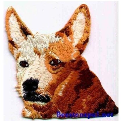 Australian Cattle Dog Embleem
