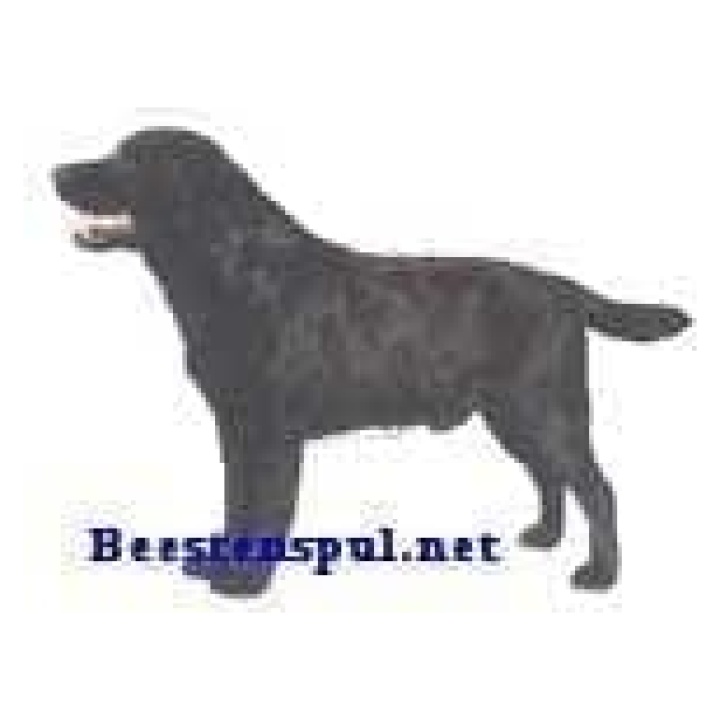 Labrador Zwart sticker 15