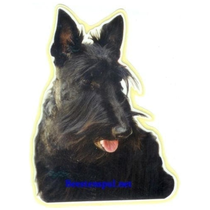 Schotse terrier sticker 10