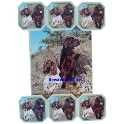 Duitse Staande onderzetter set 04