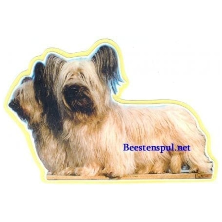 Skye Terrier sticker 04