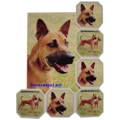 Thai Ridgeback onderzetter set 02