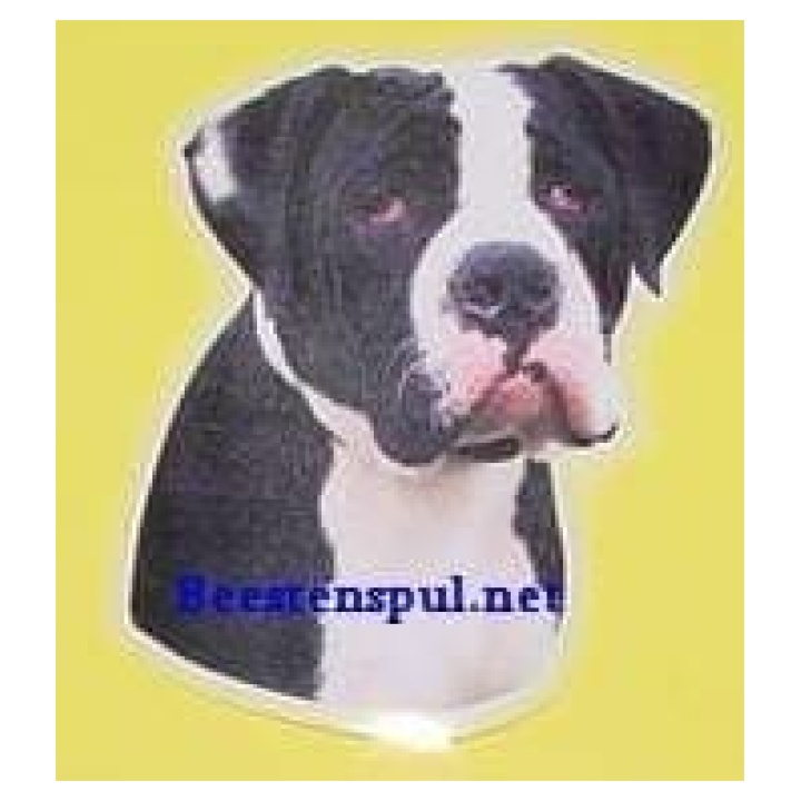 American Bulldog sticker 08