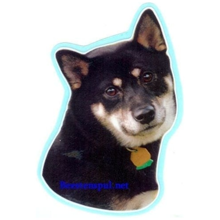 Shiba Inu sticker 05